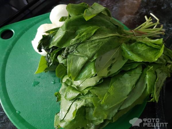 Рецепт: Щи из щавеля - на курином бульоне Рецепт: Щи из щавеля - на курином бульоне