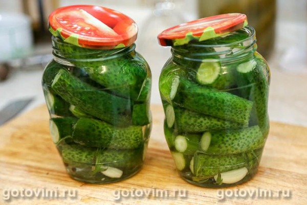 Маринованные огурцы с тархуном Маринованные огурцы с тархуном