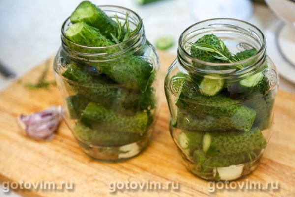 Маринованные огурцы с тархуном Маринованные огурцы с тархуном