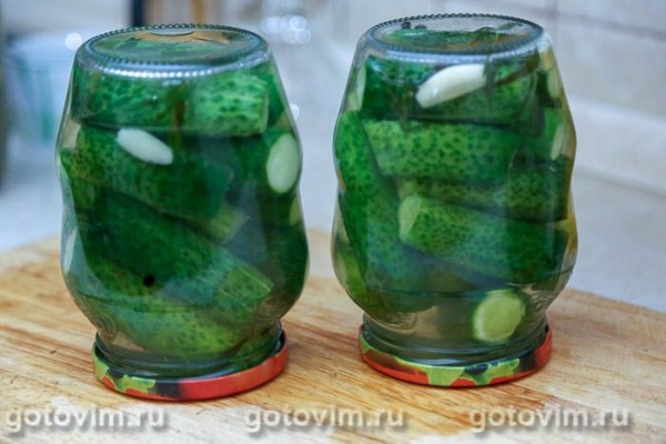 Маринованные огурцы с тархуном Маринованные огурцы с тархуном