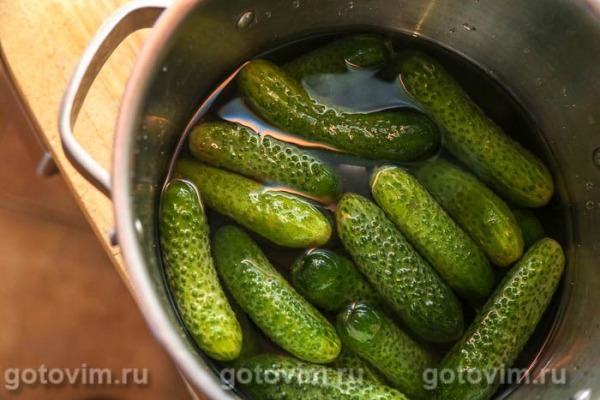 Маринованные огурцы с тархуном Маринованные огурцы с тархуном