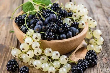 Черная и белая смородина на зиму Черная и белая смородина на зиму