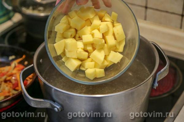 Щи с мясом и солеными грибами Щи с мясом и солеными грибами