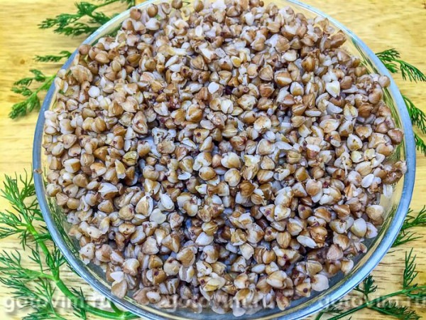 Гусь в рукаве, фаршированный яблоками, гречкой и черносливом Гусь в рукаве, фаршированный яблоками, гречкой и черносливом