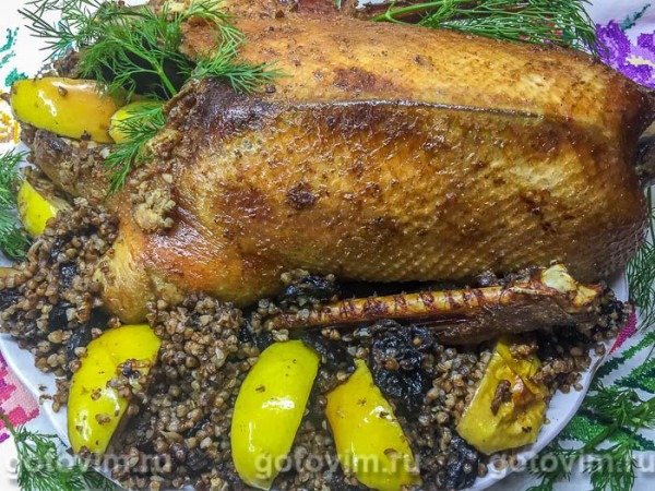 Гусь в рукаве, фаршированный яблоками, гречкой и черносливом Гусь в рукаве, фаршированный яблоками, гречкой и черносливом