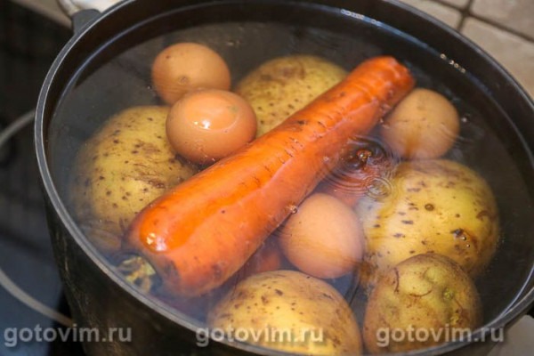 Рулет селедка под шубой (с желатином) Рулет селедка под шубой (с желатином)